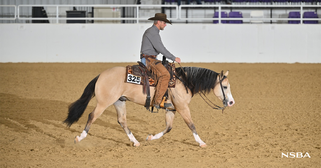 Steve Meadows Steve Meadows